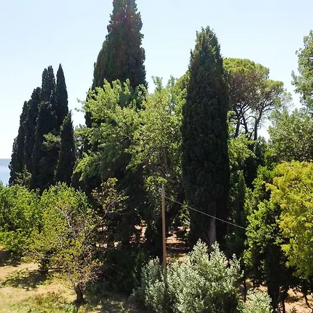Apartment Palmaja *