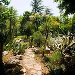 Apartamento Palmaja