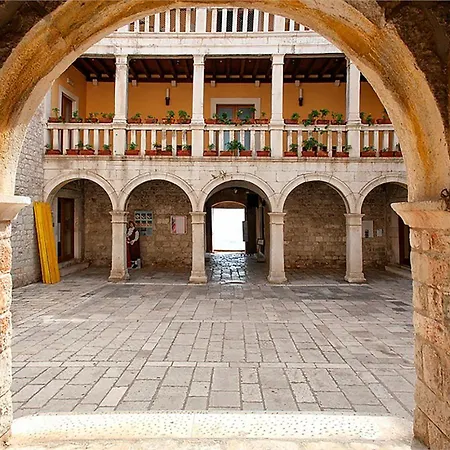 Palmaja *